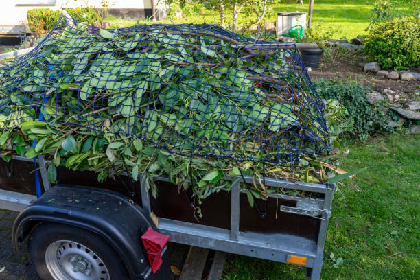 Best Retail Junk Removal  in Somerset, WI